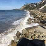 Profile Picture of JoAnn Kelly (@danapointjoey) on Instagram
