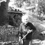 Profile Picture of Andrew Khalil (@andrewkk6) on Instagram