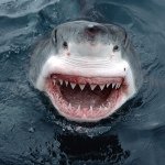 Profile Picture of Brendyn Hynes (@brendynhynes) on Instagram