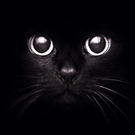 Profile Picture of Solomon (@solomones) on Flickr