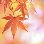 Profile Picture of Liv FrantZEN (@susanjanede) on Instagram