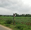 Profile Picture of Konanur, Hassanon Wikipedia