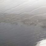 Profile Picture of Benjamin (@benjaminkhouri) on Instagram