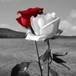 Gary & Aygül Humphrey /hʊmfri/ - Instagram Profile Picture of Gary & Aygül Humphrey /hʊmfri/ (@gazngu) on Instagram