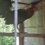 Profile Picture of Stephen Taulbee (@steve.taulbee.355) on Facebook