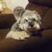 Profile Picture of Kim Birr (@kim.birr.1) on Facebook