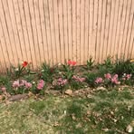 Profile Picture of Nancy Spacek (@nancy.spacek.5) on Facebook