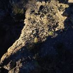 Profile Picture of Mel & kevin van shensa (@mel.aniekevink) on Instagram