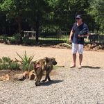 Profile Picture of Mark Rowand (@markrowand) on Instagram