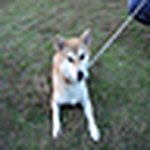 Profile Picture of ming poon mak (@MPMak) on Flickr