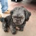 Profile Picture of Ron Fossen (@ron.fossen.988) on Facebook