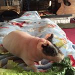 Profile Picture of Shelly Rapp (@shelly_rapp36) on Instagram