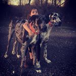 Profile Picture of Dawn Blakely (@blakelydawn) on Instagram