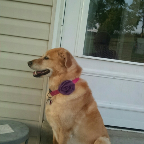 Profile Picture of Daniel Weber (@djweb24) on Poshmark