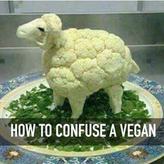 David Postill - Facebook Profile Picture of David Postill (@david.postill.908) on Facebook