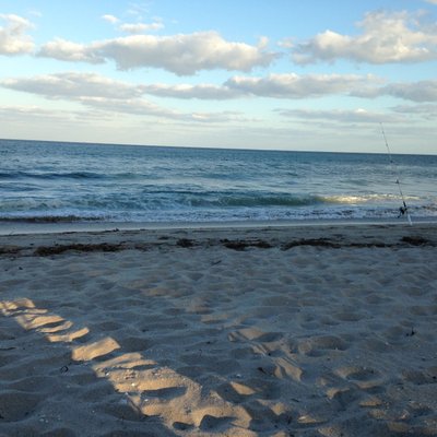 Profile Picture of Ocean Living (@delapour) on Twitter