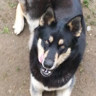 Profile Picture of Dylan Barger (@gamingmaster943) on Twitter