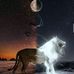 Profile Picture of Cesar Robles (@cesar.robles.3538039) on Facebook