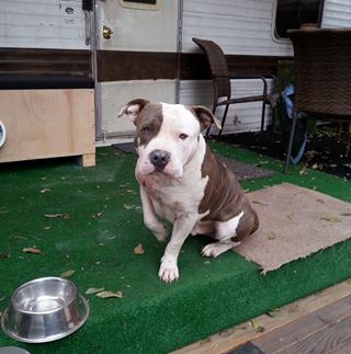 Profile Picture of Joe Euresti (@joe.euresti.5) on Facebook