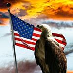 Profile Picture of John Castaldi (@brnfree7) on Instagram