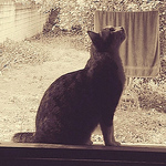 Profile Picture of Yesi Yanet (@yesi s.) on Flickr