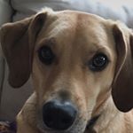 Profile Picture of Chloe Engelbrecht (@chloe.e123) on Instagram