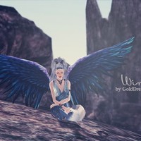 Profile Picture of Bianca Brazel (@bianca-brazel) on Quora