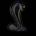 Profile Picture of Kobra (@michael_kobar) on Instagram