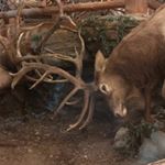Profile Picture of Paul Brechting (@paul.brechting) on Instagram