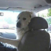 Profile Picture of Blake Denham (@blakedenham1718) on Youtube