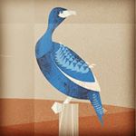 Profile Picture of Jesse Smith (@black_rogue_design) on Instagram