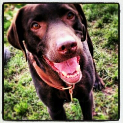 Profile Picture of Patrick Krämer (@Gatecom1972) on Twitter