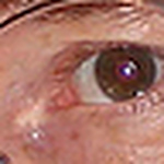 Profile Picture of Peter Black AM (@Peter Black AM) on Flickr