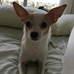 Profile Picture of jane Allen (@janeallen8579) on Instagram