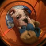 Profile Picture of Nancy Casillas (@sour_mug_pound) on Instagram