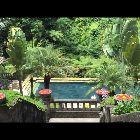 Profile Picture of Allison Schupak (@travelingyogi) on Poshmark