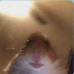 Profile Picture of Daniel Bieszk (@dawidek.dawid.5) on Facebook