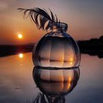 Profile Picture of ehsan alavi (@agha.ehsan.gol) on Instagram