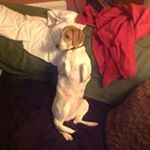 Profile Picture of Steve Jenner (@steve.jenner.52459) on Instagram