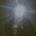 Profile Picture of Sean Kyle (@siomai.rice.12764) on Facebook