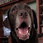 Profile Picture of Brady Du'Relle Moretti (@bradydmoretti) on Instagram