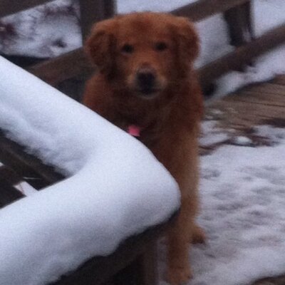 Profile Picture of Alexandra Samson (@alexandrasamso) on Twitter