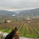 Profile Picture of Maggie Talbot (@maggie.talbot.2025) on Facebook