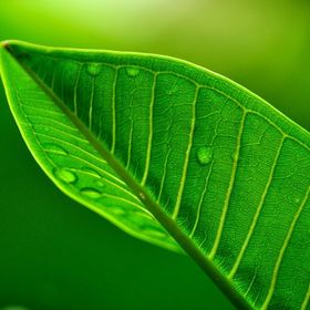 Profile Picture of Joanna Walczak (@pucius28jw) on Pinterest