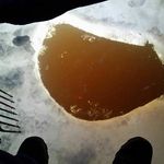 Jason Lilienthal - Instagram Profile Picture of Jason Lilienthal (@icefishingman) on Instagram