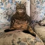 Profile Picture of Evan Mackenzie (@Evan-Mackenzie) on Facebook