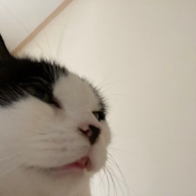 Profile Picture of Dallo (@dallasnxry) on Twitter