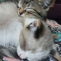 Profile Picture of Aja Alexander (@aja-alexander-6) on Quora