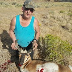 Profile Picture of Thomas Crowley (@thomascrowley74) on Tiktok