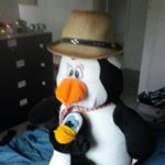 Profile Picture of zane hickman (@tommycat1275) on Instagram